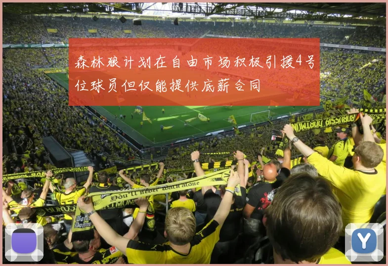 森林狼计划在自由市场积极引援4号位球员但仅能提供底薪合同