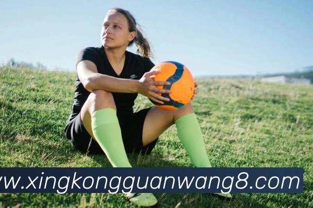 星空官网平台生态图