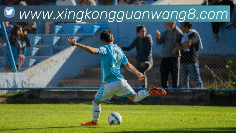 星空官网APP 封面图